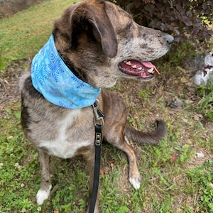 Dog snood made with blue flannel, hand sewn easy pull on Dog Scarf.  This is made to sit over the collar