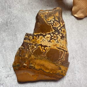 Tigers Jasper Slab