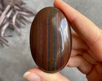 Tiger Iron Palm Stone