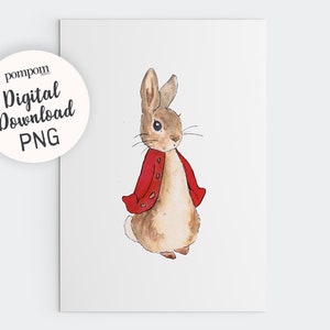 Peter Rabbit Bright Red Christmas Jacket PNG high resolution | Etsy