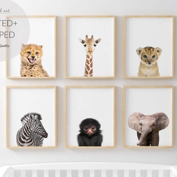 Safari Baby Animal Nursery prints, African Nursery décor, Nursery wall art, Baby Animal prints for nursery, Baby Animal Prints | Jungle Art