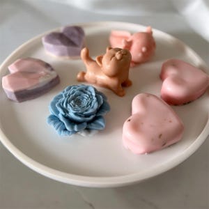 Op de afbeelding: Een verzameling kleine gevormde objecten op een wit bord, waaronder een lichtbruin kattenbeeldje, een blauwe bloem, twee roze harten, een paars hart en een gemarmerd roze en paars hart, allemaal in een cirkelvormig patroon gerangschikt.