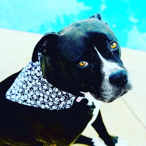 Halloween Bandana