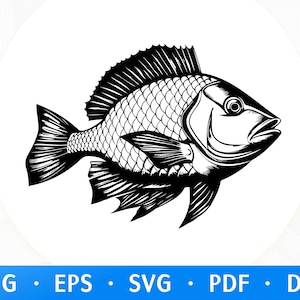 Fish SVG, Fish Silhouette Svg, Cricut Fish SVG File, Fishing Svg, Fish Clipart, Fish Cut file,Fish Png, Ornamental fish Svg Files for Cricut