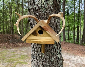 Casa para pájaros Bluebird de madera natural con asta de venado de cola blanca real hecha a mano
