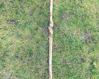 Bâton de marche torsadé en vigne naturelle non fini avec motif brûlé de primevère