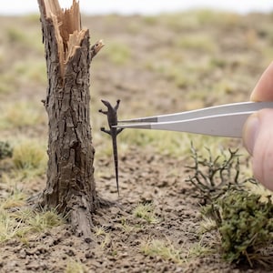 Op de afbeelding: Een miniatuur donkerbruin hagedisfiguurtje vastgehouden door een zilveren metalen pincet naast een klein, gebroken en getextureerd boomstammodel. De hagedis heeft een lange, slanke staart en vier poten, verticaal geplaatst alsof hij klimt.