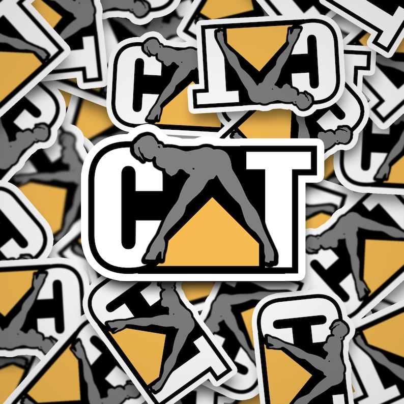 Funny Cat Hooker Waterproof Vinyl Sticker bild 1