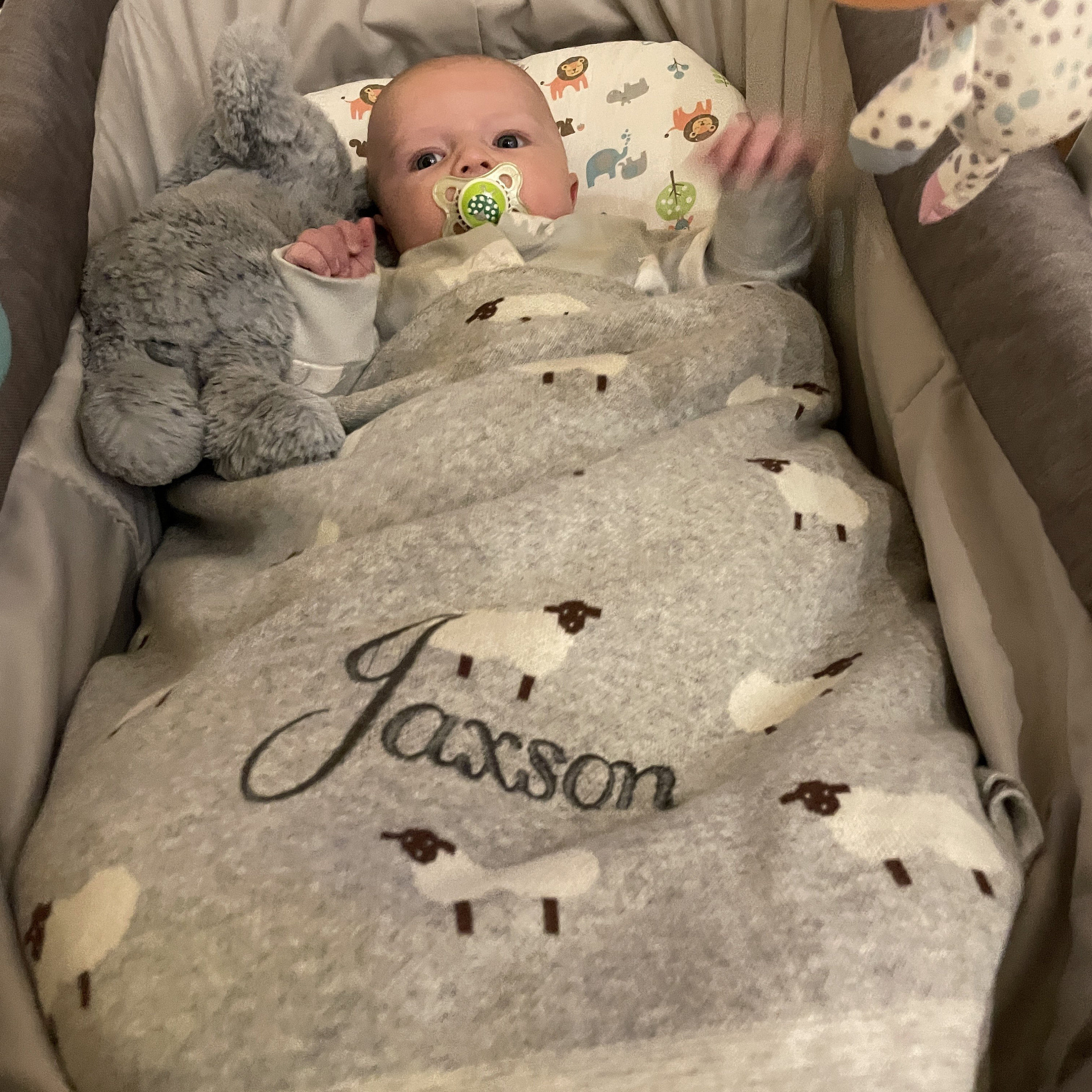 Personalised Luxury Sheep Blanket BABY Boy Girl Blanket New Etsy