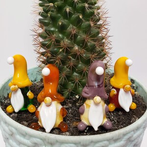Op de afbeelding: Vier kleurrijke glazen dwergen met witte baarden en hoeden zijn gerangschikt in een pot met een cactusplant. De dwergen zijn oranje, geel, paars en rood.