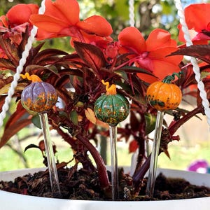 wooden indoor planter Indoor Vertical Plant Stand main image 0