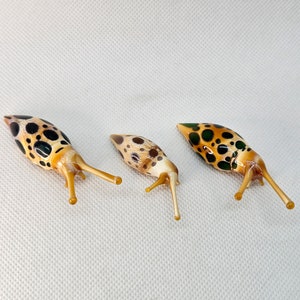 Slug family, Blown glass slug, Art glass Slug, Slug collection, Glass miniature, Spotted Slug glass sculpture, Glass Insect, lampwork