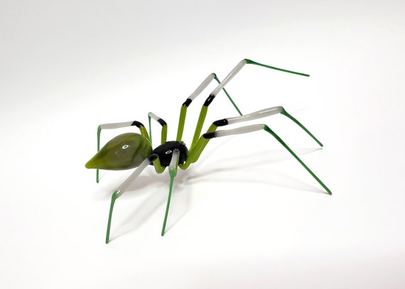Greenspider office