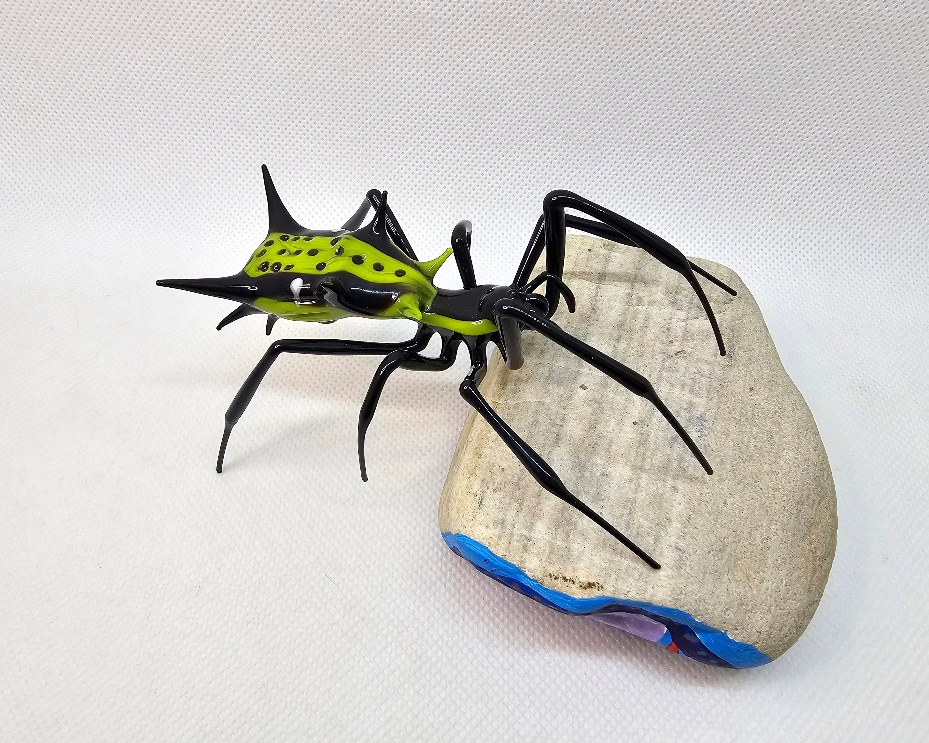 Spiny Spider, Micrathena Vigorsi, Orb-weaving Spiders, Handblown