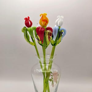 Peut inclure: Un vase en verre transparent contenant cinq fleurs en verre fabriquées à la main avec de longues tiges vertes. Les fleurs présentent des pétales dans des tons vifs de rouge, jaune, blanc et bleu clair. Chaque fleur a une forme distincte.