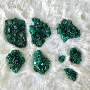 May include: An assortment of vibrant, emerald-green crystal clusters. The crystals have a sparkling, textured surface and are arranged on a soft, white background. The crystals vary in size and shape, showcasing natural formations.