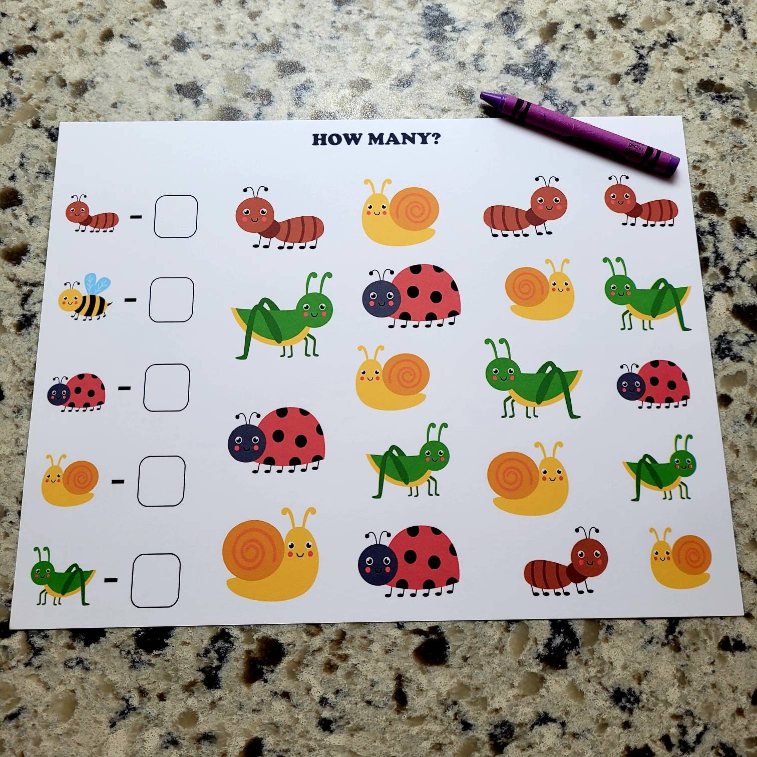 Preschool Worksheets Preschool Curriculum Insects - Etsy