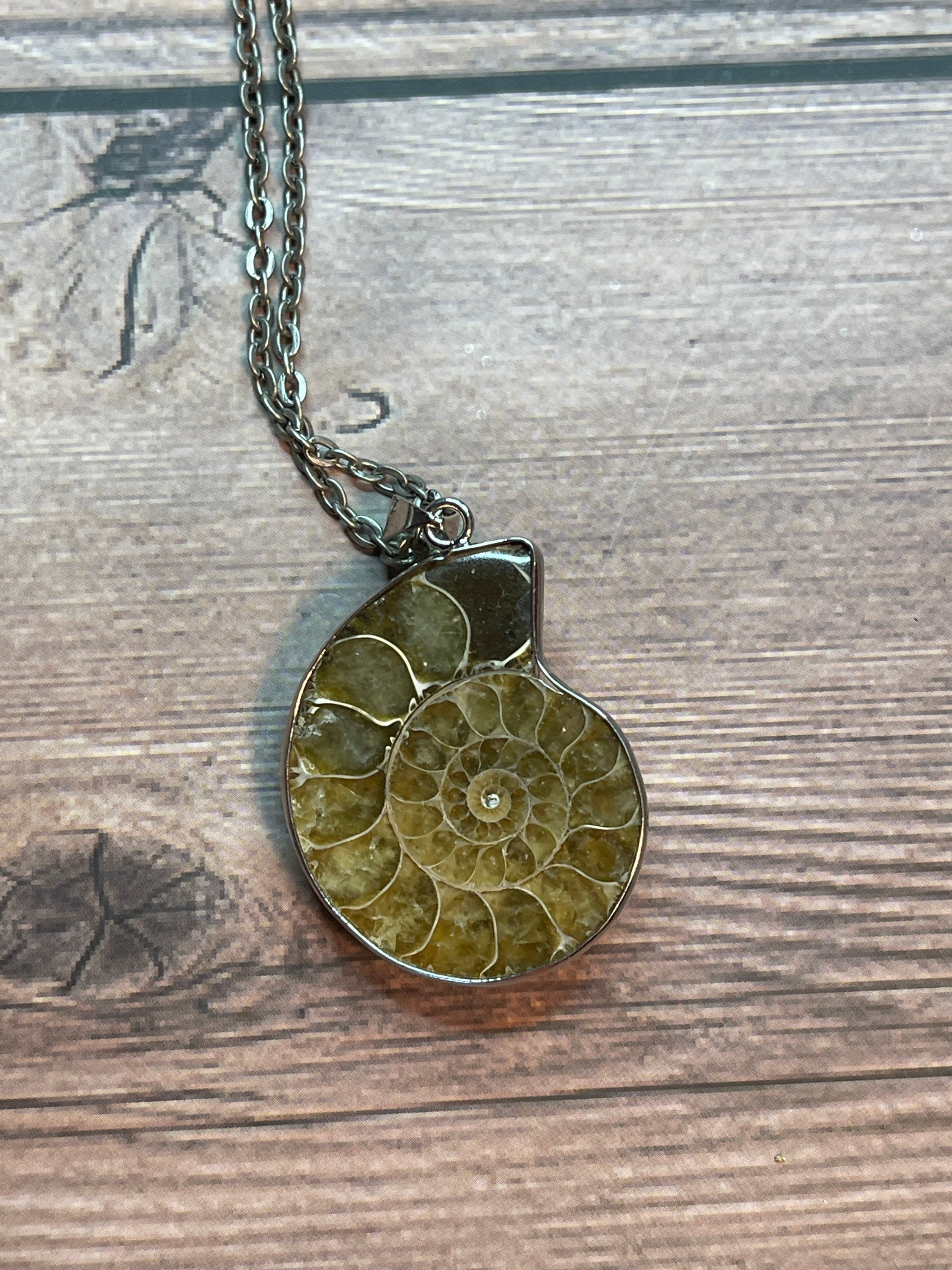 Ammonite Shell Fossil Pendant Necklace GC104 Etsy UK