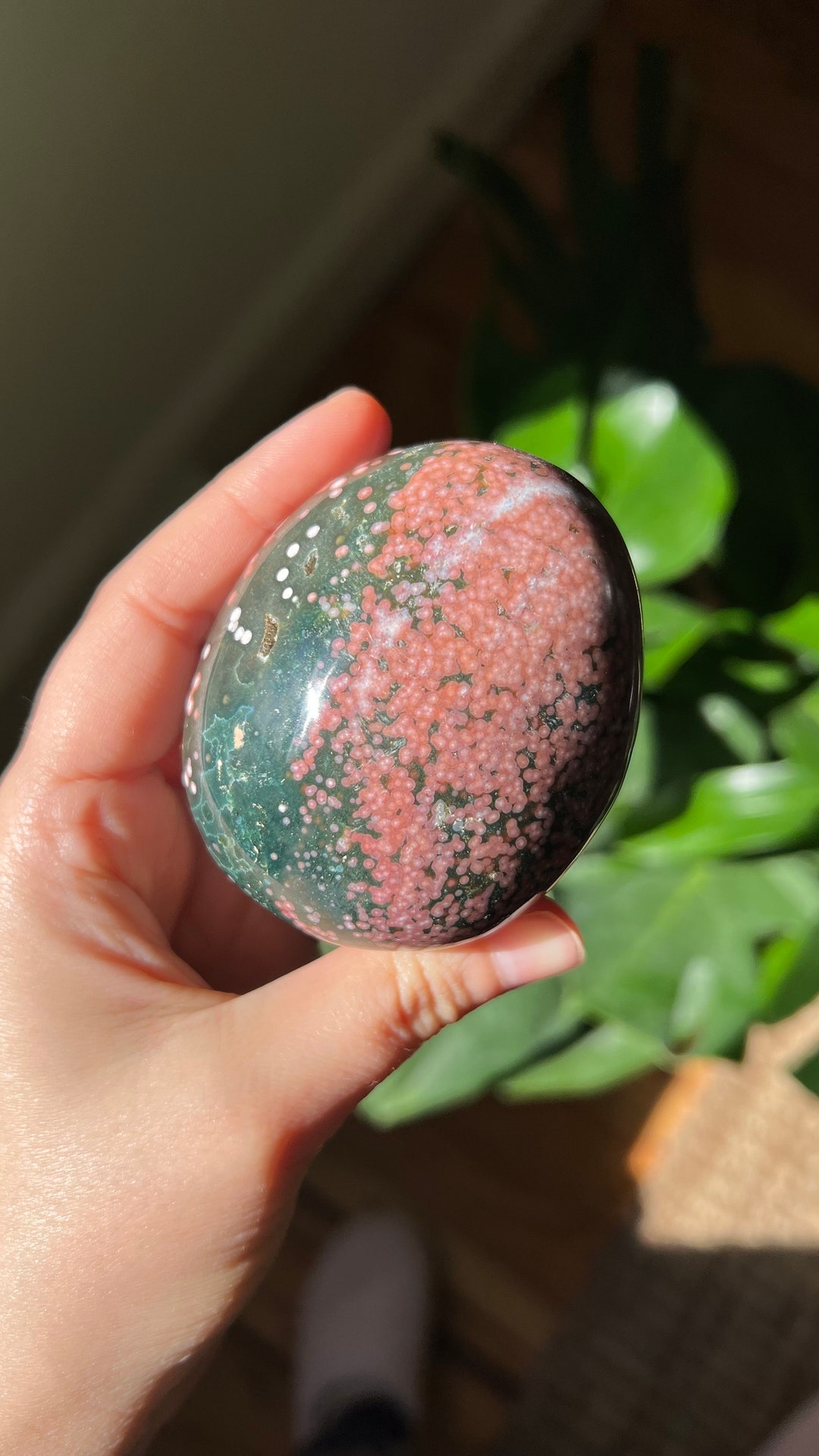 Ocean Jasper Palm Stone, Sea Jasper Palm Stone, Orbicular Jasper Palm