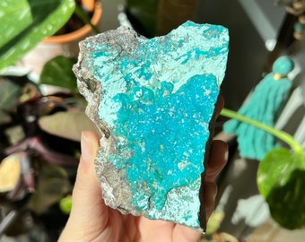 Beautiful Druzy/Crystallized Chrysocolla Specimen - Natural Mineral Formation