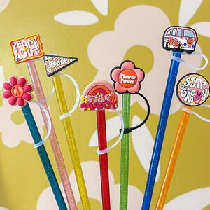Nieuwigheid rietje, herbruikbare rietje, Stanley-accessoires afbeelding 8