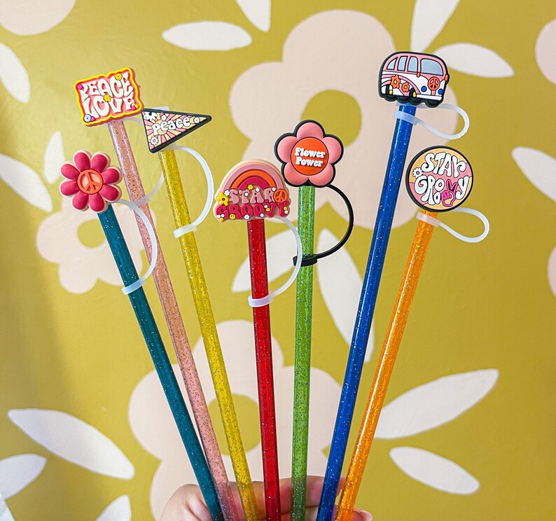 Nieuwigheid rietje, herbruikbare rietje, Stanley-accessoires afbeelding 8