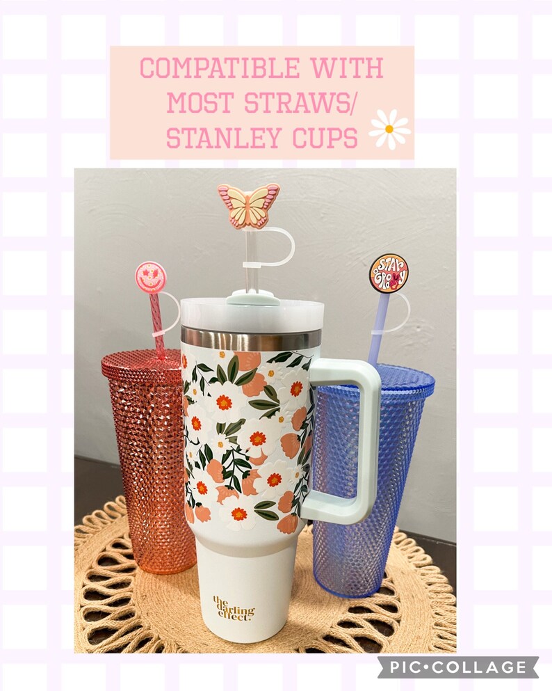 Nieuwigheid rietje, herbruikbare rietje, Stanley-accessoires afbeelding 6