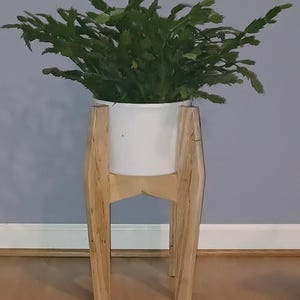 May include: A green plant in a white pot sits on a light brown wooden plant stand. The stand has a mid-century modern design with four legs and a support structure. The plant stand is made of natural wood.