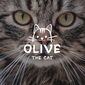 K&ouml;nnte beinhalten: Nahaufnahme des Gesichts einer Tabby-Katze mit gr&uuml;nen Augen. Die Nase der Katze ist sichtbar und die Katze hat wei&szlig;e Schnurrhaare. Der Text "OLIVE THE CAT" ist in Wei&szlig; auf dem Bild geschrieben.