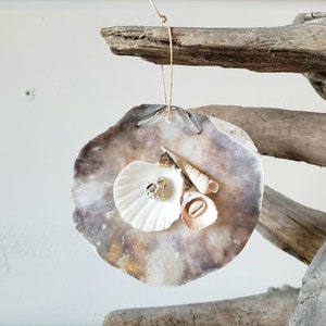 May include: A round, brown, and white seashell ornament with smaller seashells attached. The ornament is hanging from a piece of twine on a piece of driftwood.