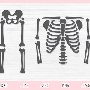 Skelett SVG, DXF, Jpg, Png, Eps, Skelett Plotterdatei, Skelett Svg, Skelett Silhouette, Knochen Svg, DIY Skelett Svg, Rippenkäfig Svg