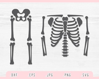 Skelett SVG, DXF, Jpg, Png, Eps, Skelett Plotterdatei, Skelett Svg, Skelett Silhouette, Knochen Svg, DIY Skelett Svg, Rippenkäfig Svg