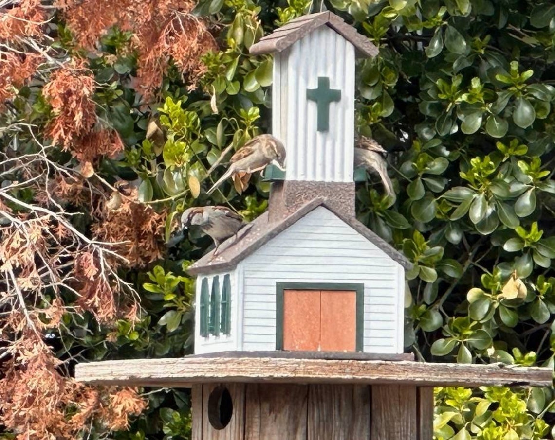 Custom Birdhouses Etsy UK