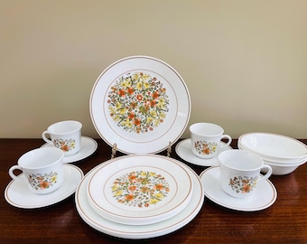 Vintage Nikko Classic Collection Bittersweet Pattern 5 Piece Place