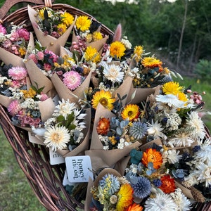 Mini-Trockenblumensträuße / Bunte Trockenblumensträuße / Handgemachtes Wohndekor / Geschenkideen für Blumenliebhaber