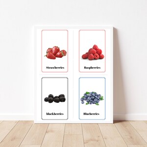 Download Only - Fruit (20 Real PRINTABLE Pictures) Montessori Language Cards - Engels in PNG