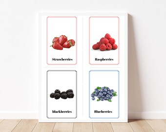 Download Only - Fruit (20 Real PRINTABLE Pictures) Montessori Language Cards - English in PNG