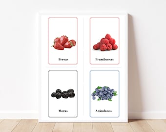 Spanish Language - Download Only - Fruit (20 Real PRINTABLE Pictures) Montessori Language Cards - SPANISH in PNG