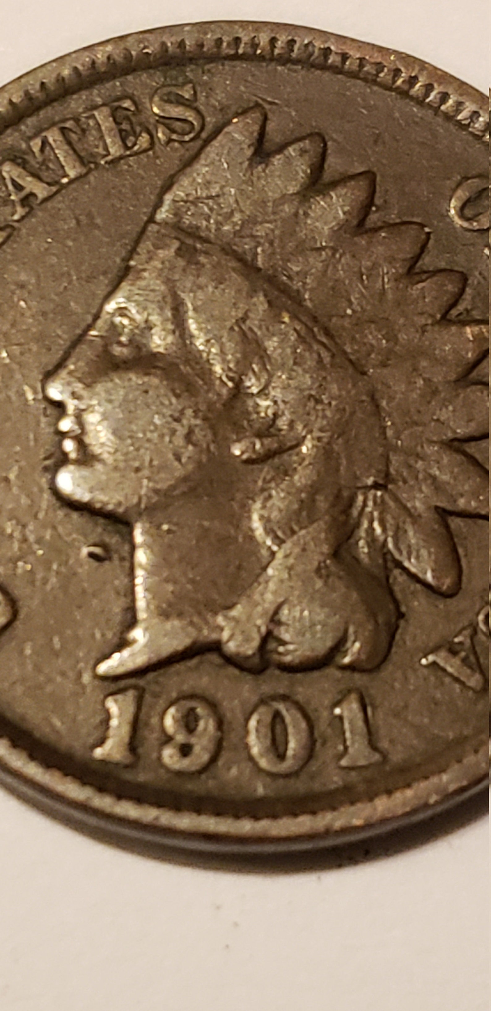 Rare 1901 Indian Wheat Head Penny Etsy