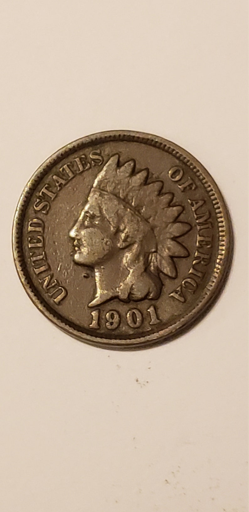 Rare 1901 Indian Wheat Head Penny Etsy