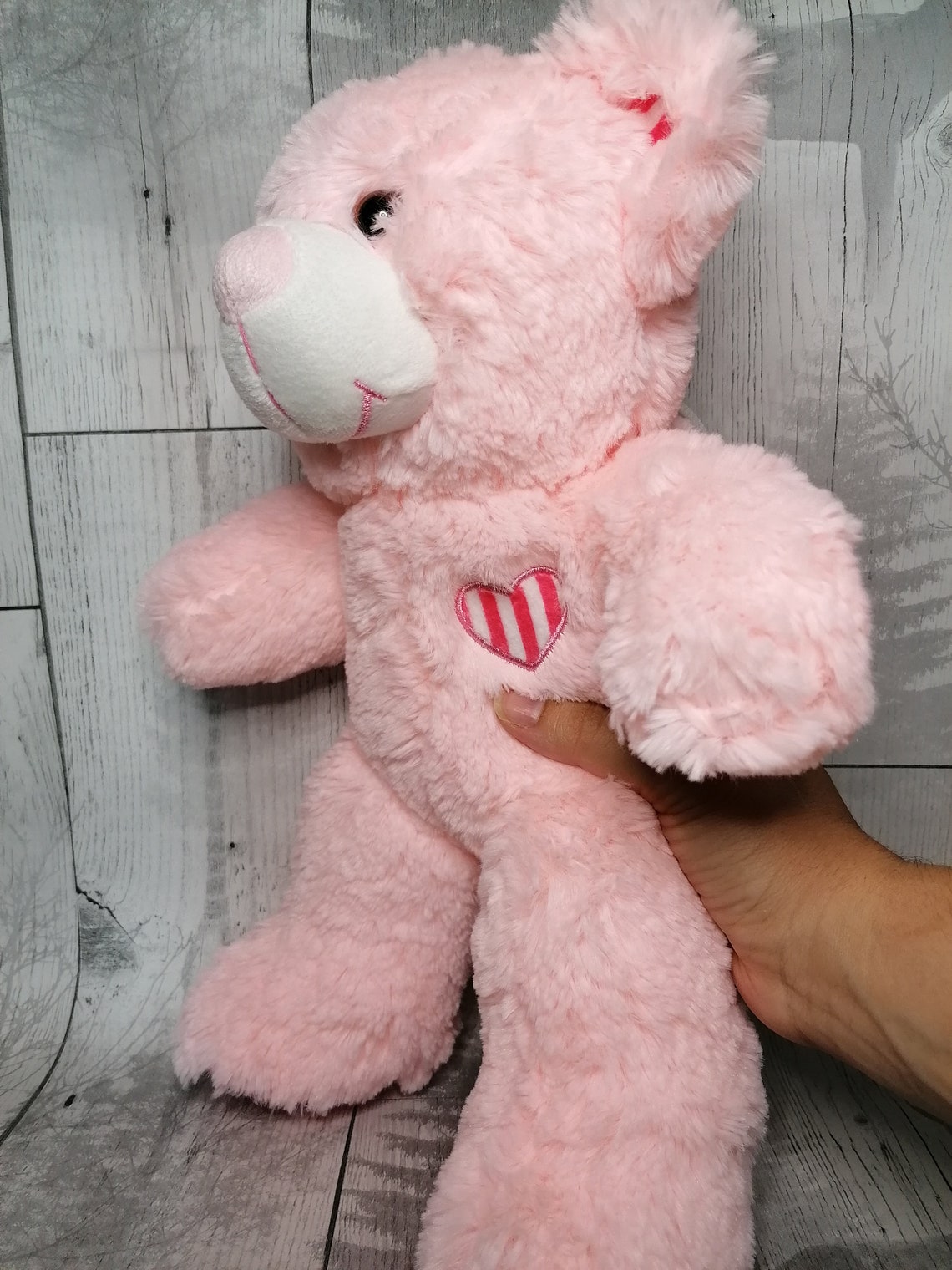 ultrasound teddy bear