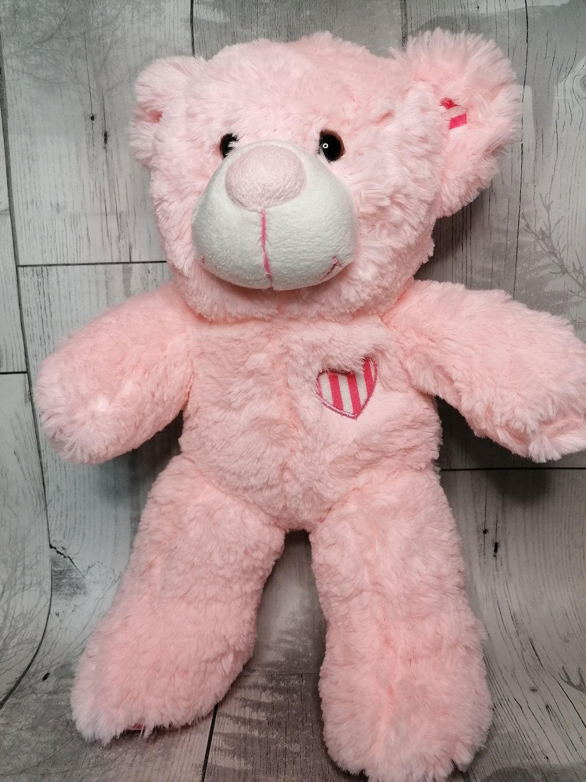 ultrasound teddy bear