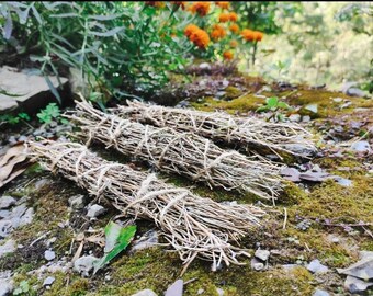 Bâtonnets de maculage au romarin