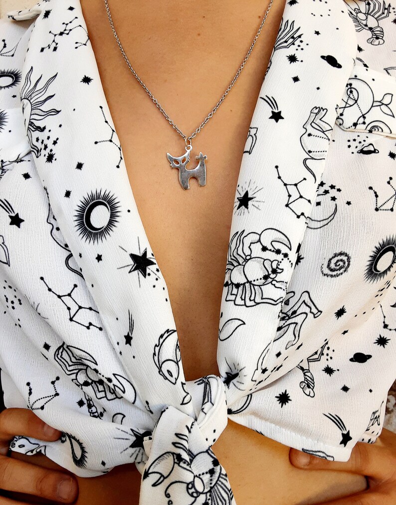 Katthalsband i sterlingsilver, minimalistiskt kattungehänge bild 7