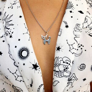 Katthalsband i sterlingsilver, minimalistiskt kattungehänge bild 4
