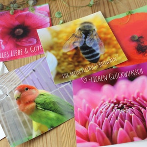 Conjunto de 5 postales - "saludos" - fotografía de naturaleza colorida