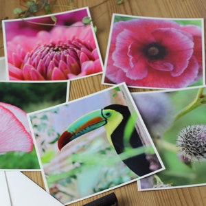 Set van 5 ansichtkaarten - “natuur” - kleurrijke natuurfotografie