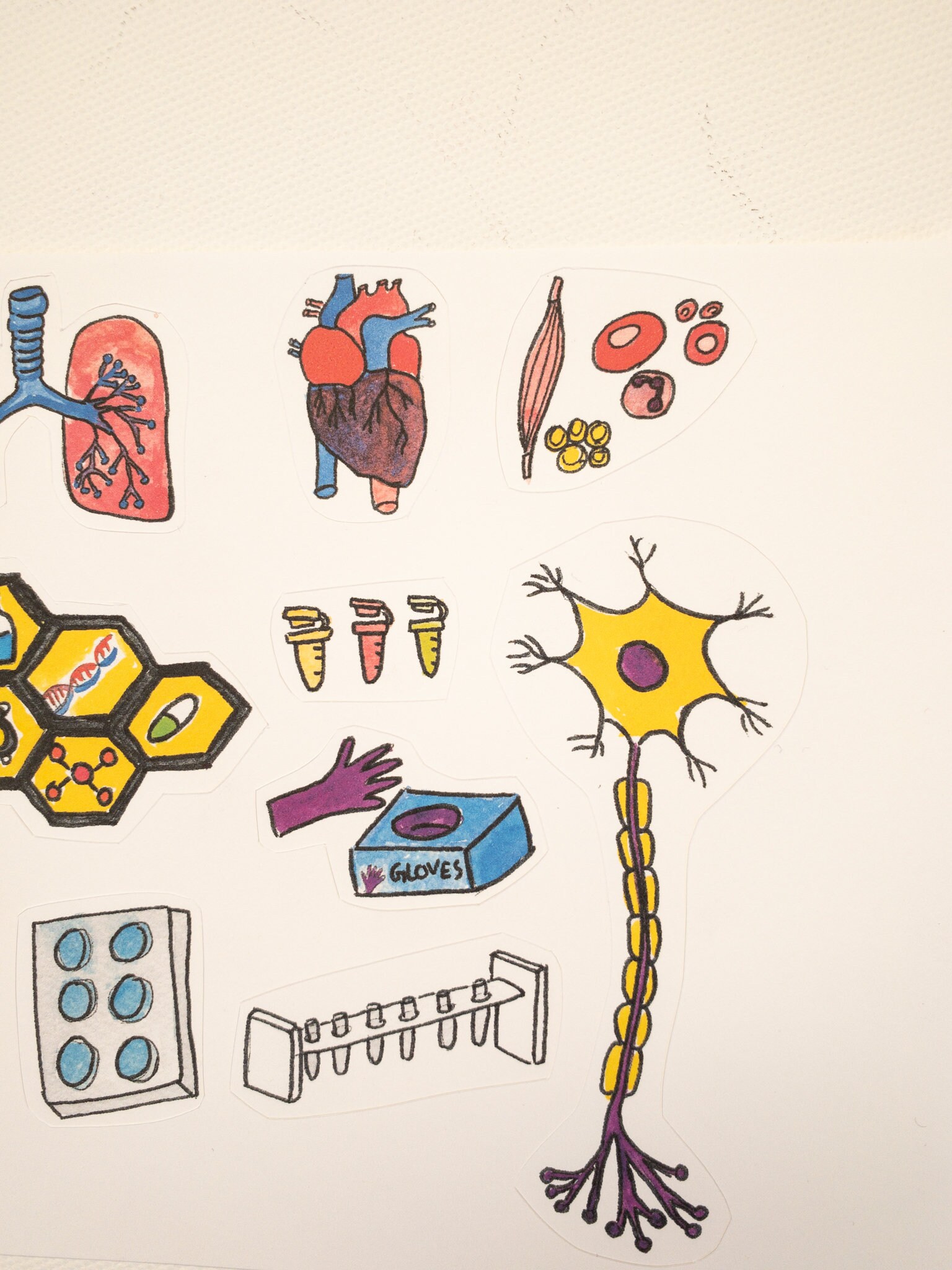 Science sticker sheet for the researchers students lab | Etsy