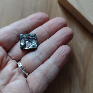 Può includere: Un guscio di abalone iridescente di forma quadrata con un bordo marrone scuro.