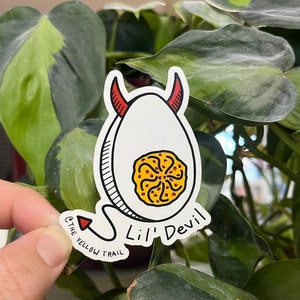 May include: White sticker with a red devil tail and horns, a yellow egg with a red and yellow swirl design, and the text "Lil' Devil" and "@ THE YELLOW TRAIL".